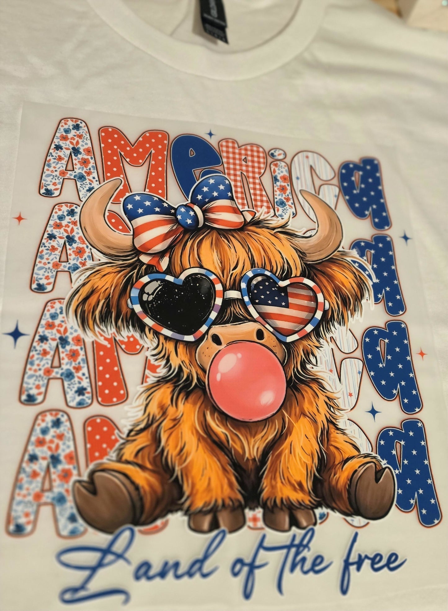 4th of July Shirt #9