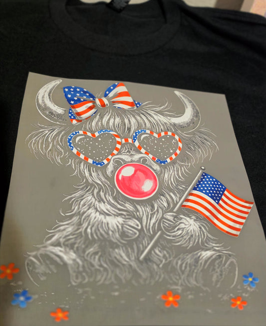 4th of July Shirt #4