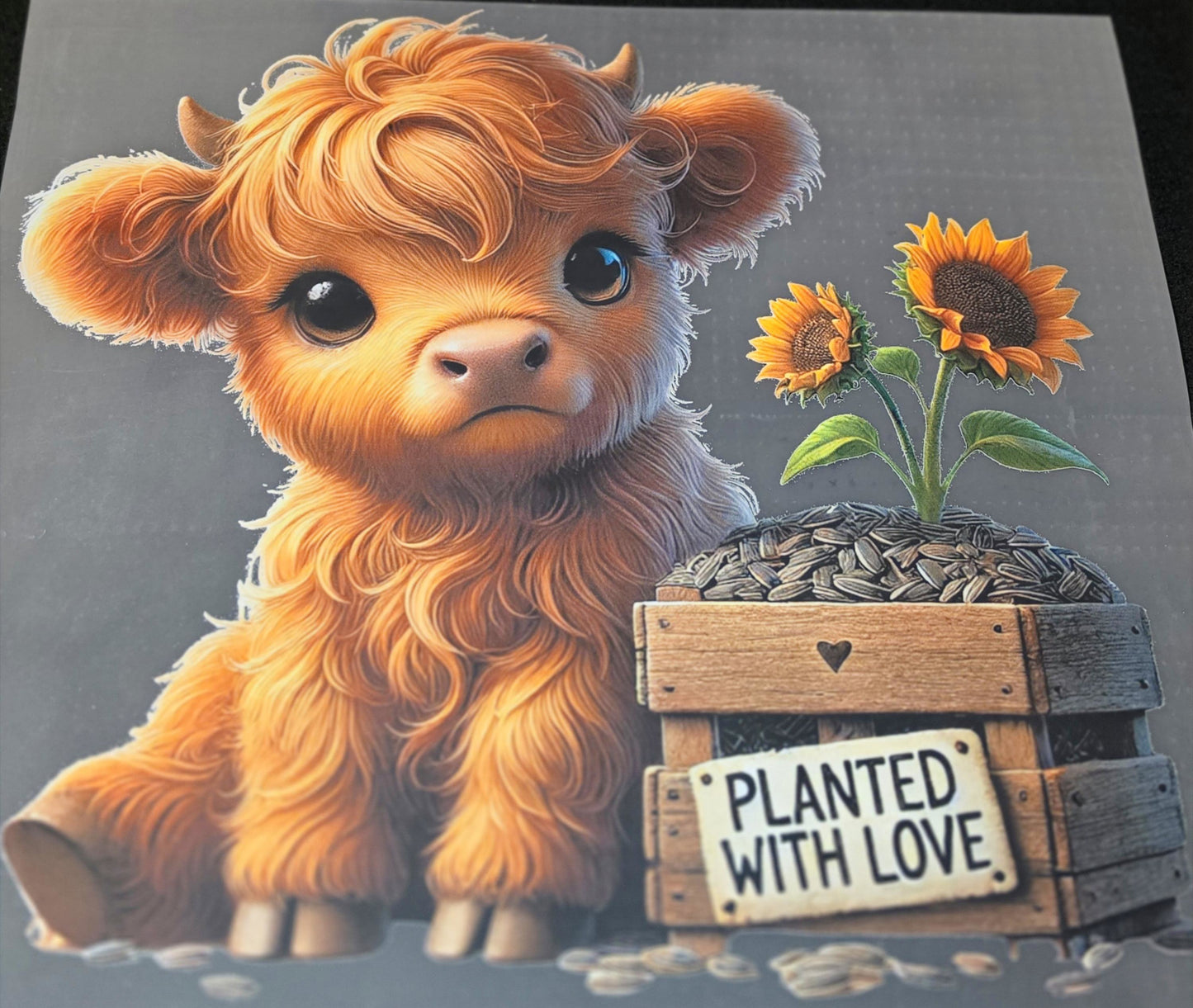 Highland Cow Shirt #18