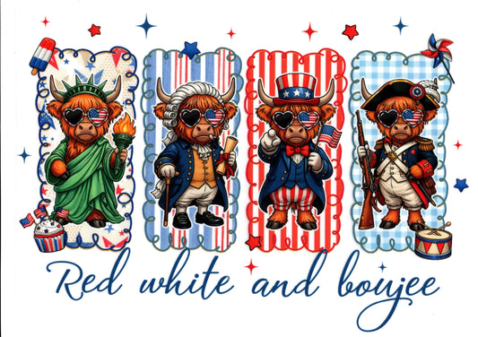 4th of July Shirt #3