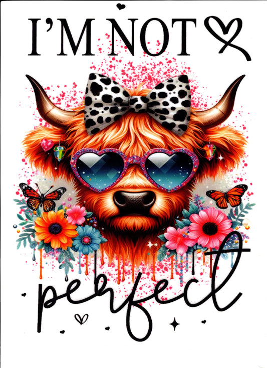 Highland Cow Shirt #4